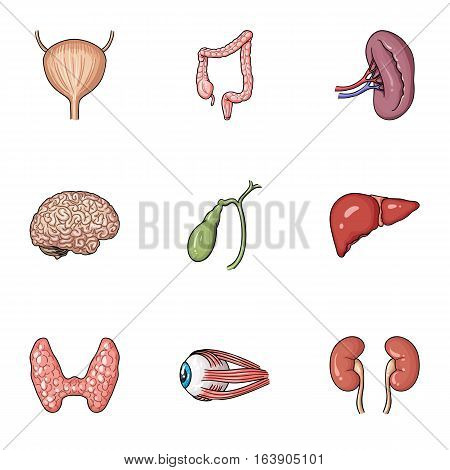 Human organs set icons in cartoon design. Big collection of human organs vector symbol stock illustration