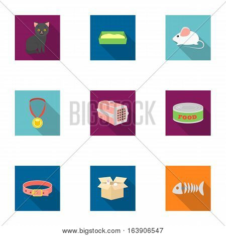 Cat equipment set icons in flat style. Big collection of cat equipment vector symbol stock