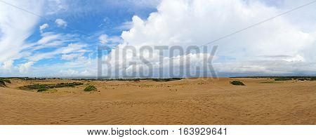Panoramic view of the sand dunes and Albemarle Sound from the top of Jockeys Ridge State Park in Nags Head on the Outer Banks of North Carolina