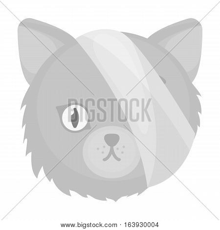 Sick cat with bandage on a head icon in monochrome design isolated on white background. Veterinary clinic symbol stock vector illustration.