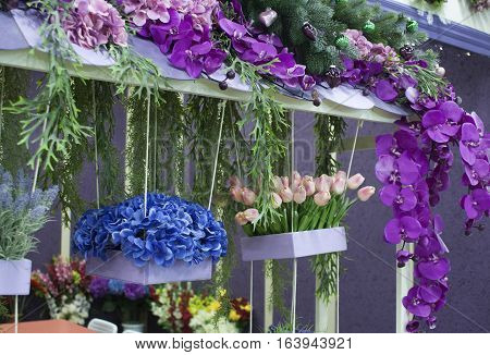 Blue, Purple And Pink Flowers. Tulips In A Pot. Flower Shop.