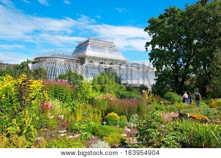 SAINT-PETERSBURG, RUSSIA, AUGUST 3, 2016: People walk in Peter the Great Botanical Garden (Botanic Gardens of the Komarov Botanical Institute of of the Russian Academy of Sciences)