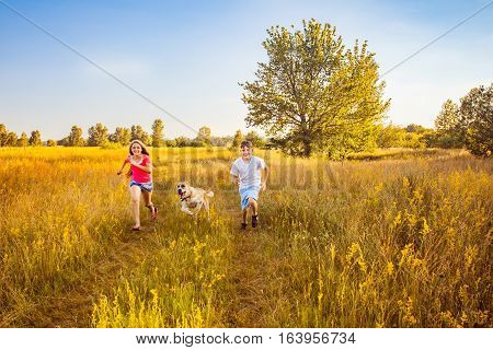 Children Racing With Their Alabai Dog.