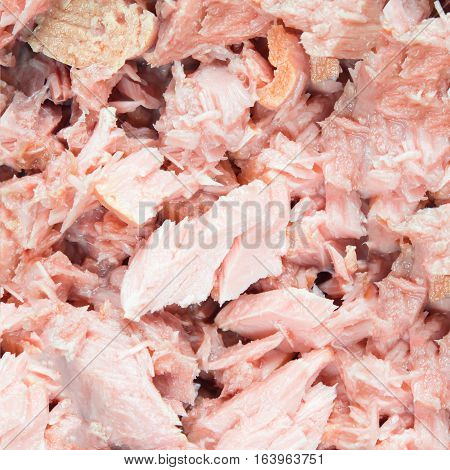 Tuna texture background. Canned soy free albacore white meat tuna packed in water