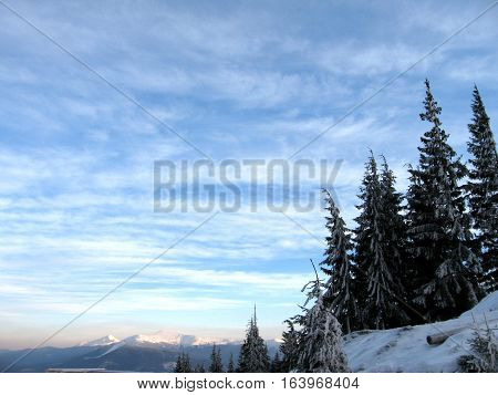 Winter landscape trees in snow clouds mountains