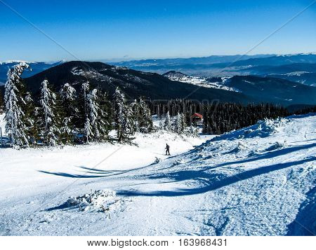 A skier descends from the mountain on a snow-covered road, rear view