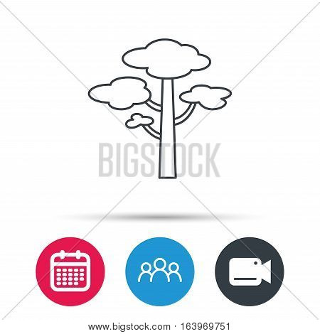 Pine tree icon. Forest wood sign. Nature environment symbol. Group of people, video cam and calendar icons. Vector
