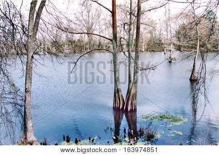 Mississippi USA - March 2002: The Black Bayou.