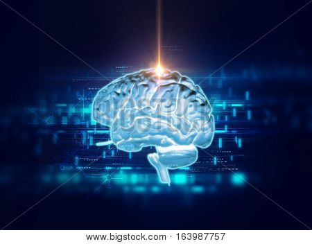 3D Rendering Of Human  Brain On Technology Background