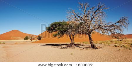 Dune del deserto del Namib, Namibia, Sossufley