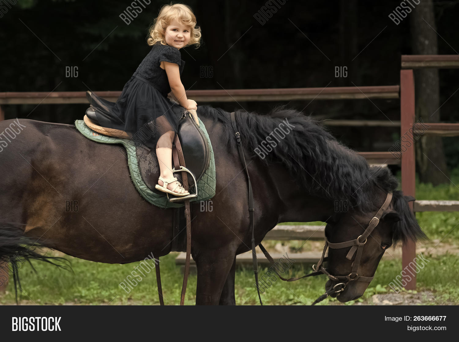 Child Sit Rider Saddle Image & Photo (Free Trial) Bigstock