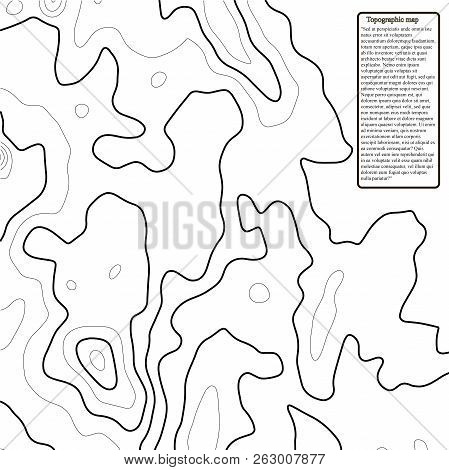 Topographic Map.the Stylized Height Of The Topographic Contour In Lines And Contours. Vector Illustr