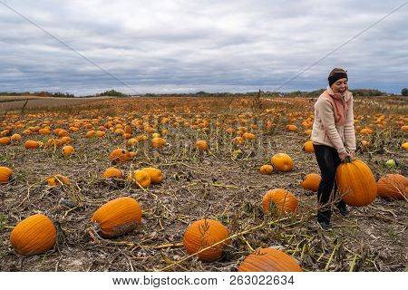 Adult Woman (30s) Attempts To Pick Up A Giant Pumpkin From A Pumpkin Patch. Smiling And Laughing And