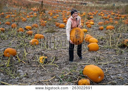 Adult Woman (30s) Attempts To Pick Up A Giant Pumpkin From A Pumpkin Patch. Smiling And Laughing And