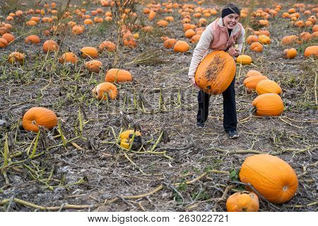 Adult Woman (30s) Attempts And Struggles To Lift And To Pick Up A Giant Pumpkin From A Pumpkin Patch