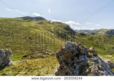 Beautiful Landscape In Montenegro With Fresh Grass And Beautiful Peaks. Durmitor National Park In Mo