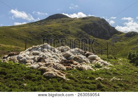Beautiful Landscape In Montenegro With Fresh Grass And Beautiful Peaks. Durmitor National Park In Mo