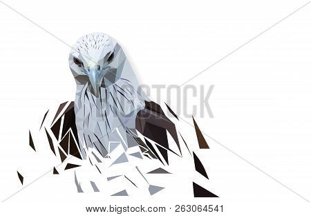 Eagle Polygon, Eagles Live In The Forest. Show Only Polygon Headers At Backdrop Of Four White. Looki