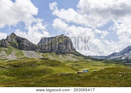 Beautiful Landscape In Montenegro With Fresh Grass And Beautiful Peaks. Durmitor National Park In Mo