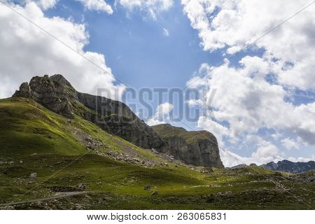 Beautiful Landscape In Montenegro With Fresh Grass And Beautiful Peaks. Durmitor National Park In Mo