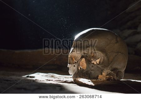 Human Skull In The Scary Underground, Spooky Old Castle Cellar
