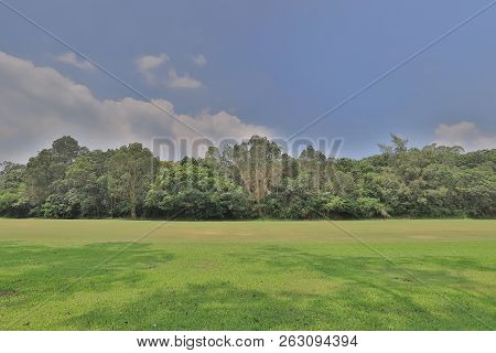 Perfect Grass Golf Course Field At Hk