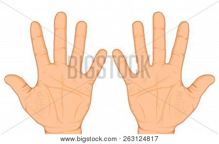 Two Opened Palms Of The Hands Isolated On White Background. Vector Illustration