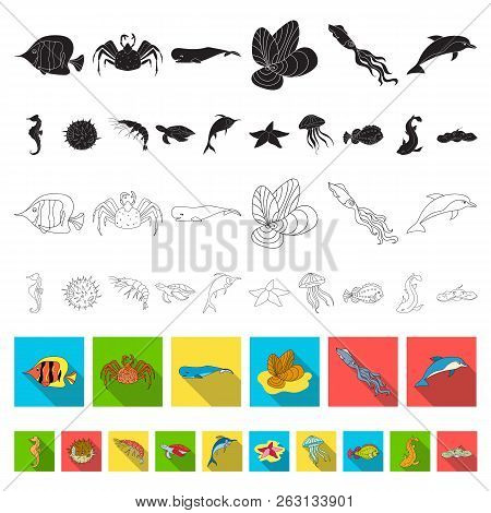 A Variety Of Marine Animals Flat Icons In Set Collection For Design. Fish And Shellfish Vector Symbo