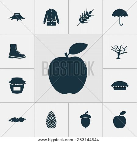 Season Icons Set With Boot, Apple Pie, Oak Nut And Other Acorn Elements. Isolated Vector Illustratio