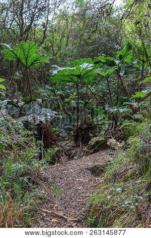 Views On The Hike Around Vulcano Lake Cuicocha Close To Otavalo, Ecuador