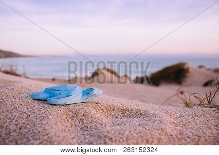 Blue Wooden Turtle On The Beach. 