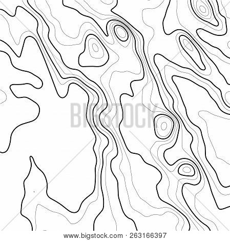 Topographic Map Contour Background. Contour Map Vector. Abstract Vector Illustration .