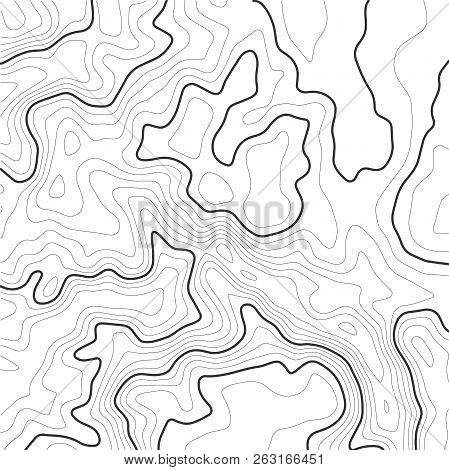 Topographic Map Contour Background. Contour Map Vector. Vector Illustration