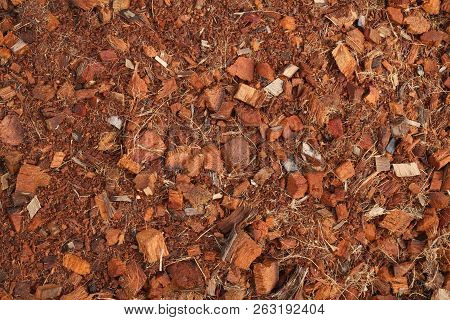 Peat Soil With Coconut Spathe Fiber Texture Background