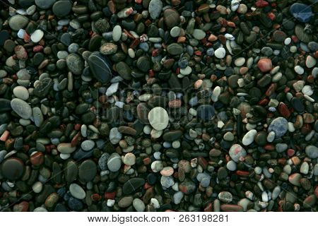 Shot Of A Rocks On The Ground. Cropped Shot Of Ocean Beach.