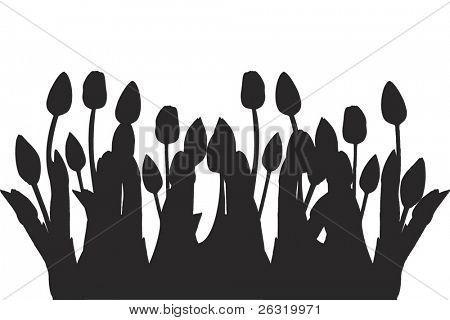 Tulpen silhouet