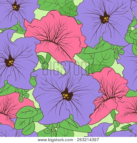 Petunia. Flower. Background, Wallpaper, Texture, Seamless. Sketch.