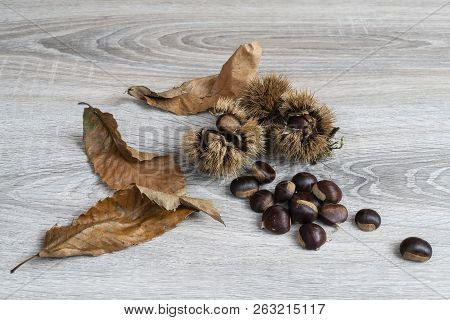 Some Chestnuts On The Wooden Table In Autumn