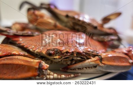 Cooked Whole Crabs Served On A Plate; Home Cooked In Typically Chinese Ginger And Shallot Sauce, As 