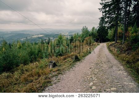 Forest Path In Krkonose Mountain In Czechia. Cloudy Weather.