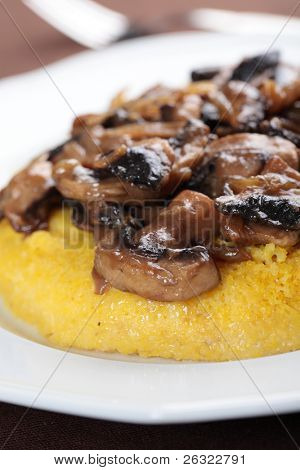 Polenta s žampiony a cibulí closeup