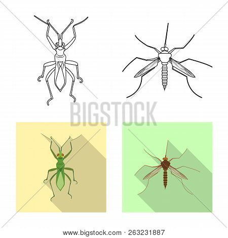 Isolated Object Of Insect And Fly Icon. Set Of Insect And Element Vector Icon For Stock.