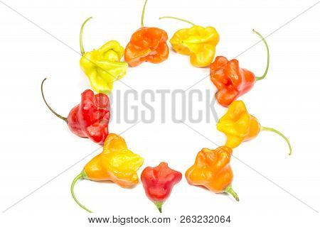 Chili Peppers Isolated On A White Background
