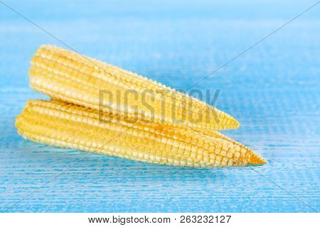 Baby Sweetcorn Or Mini Corn. It Is Typically The Eaten Whole Cob Included For The Human Consumption.
