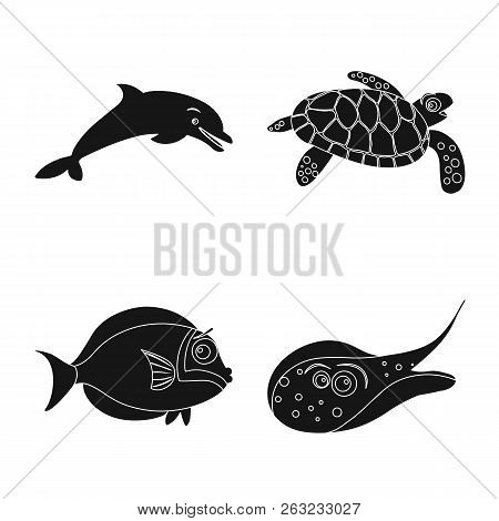 Isolated Object Of Sea And Animal Symbol. Set Of Sea And Marine Stock Vector Illustration.