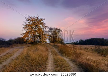 Sunset In Meadow Landscape. Fields And Countryside Landscape. Nature Landscape. Sunset In Meadow Lan