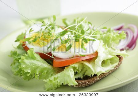 Sunde sandwich med salat, Havekarse, kogt æg, tomat og rødløg på rugbrød. Sha