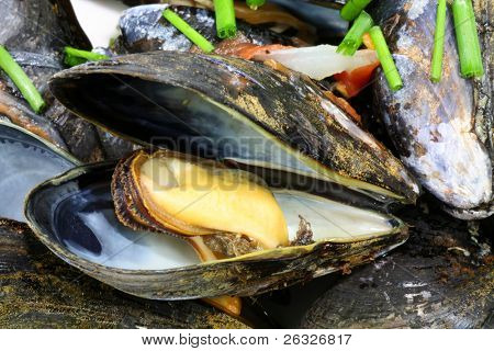 Kogte muslinger i shell med en garniture, purløg.