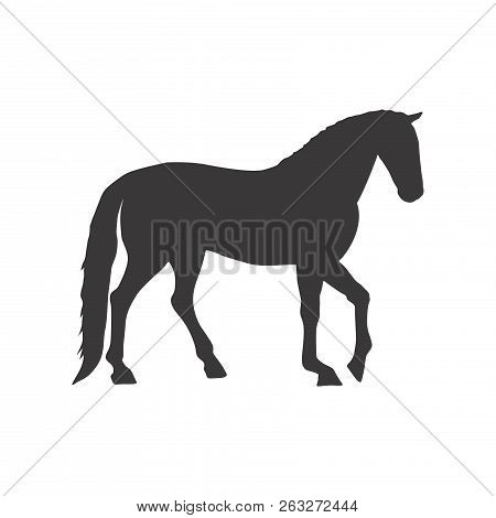Horse Icon,black Horse Silhouette,horse Vector,eps 10 Isolated On White Background For For Graphics,