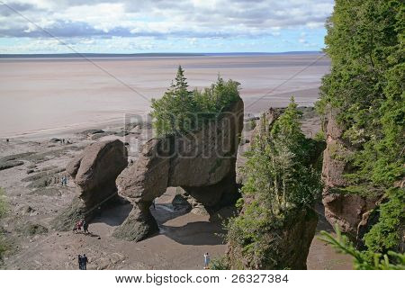 호프 웰 바위, 유명한 ' 꽃 냄비 바위 '에서 뉴 브 런 즈 윅, 캐나다의.